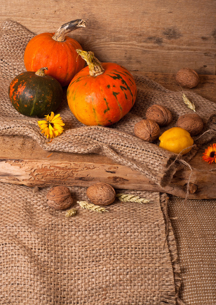 Autumn harvest - Фото, зображення