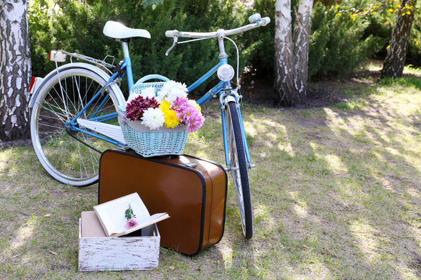 Bicycle and brown suitcase - Zdjęcie, obraz