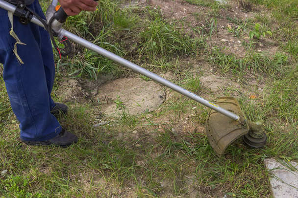 Werknemer het gras maaien met gas tekenreeks trimmer - Foto, afbeelding