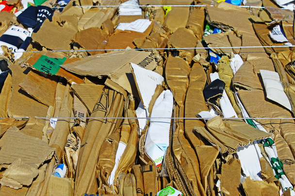 reciclaje - Foto, Imagen