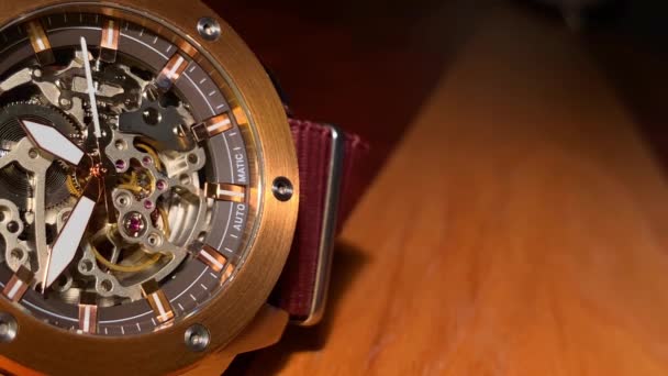 Dwa automatyczne zegarki tykające z bliska widok - Materiał filmowy, wideo