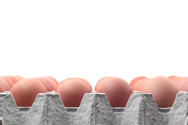 яйця в паперовому лотку
 - Фото, зображення