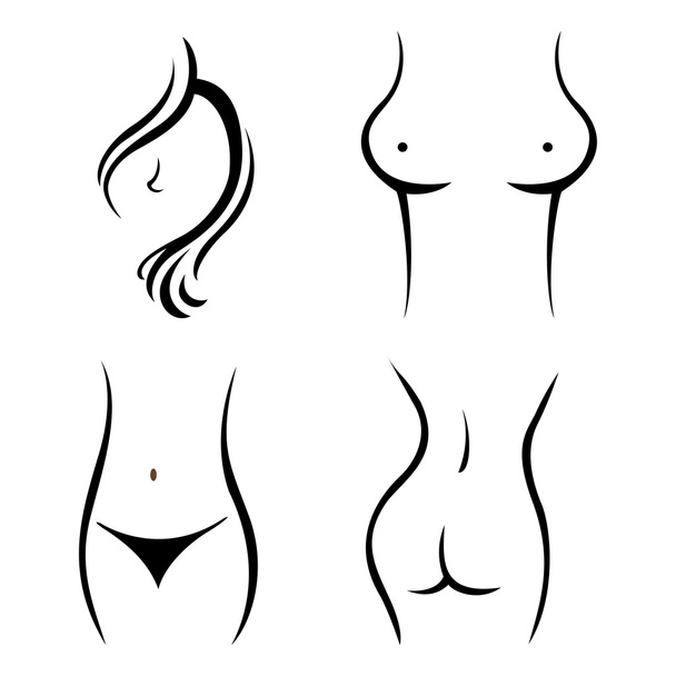 young woman body parts vector - Vector, Image