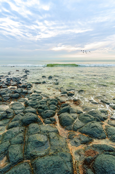 Чорні камені на пляжі
 - Фото, зображення