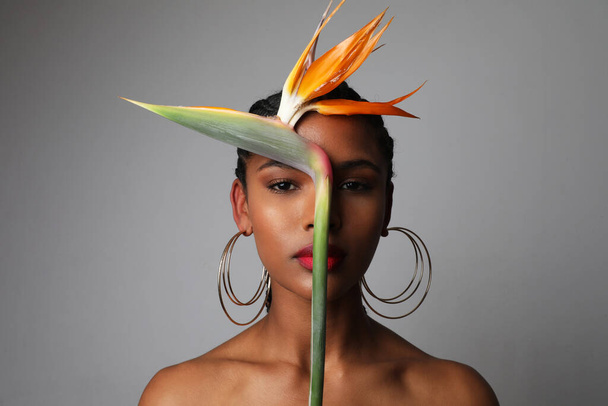 Close-up portrait of African young woman with exotic flower posing indoor.  - Fotografie, Obrázek