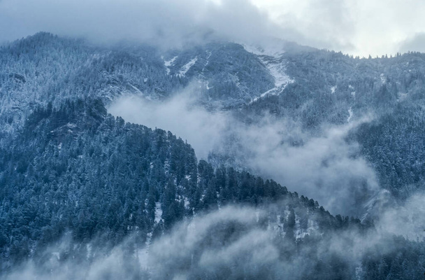 Alppien vuoret ja metsät Farchantissa - Valokuva, kuva