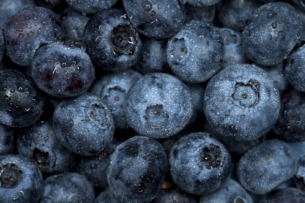 Blueberry watered background - Foto, afbeelding