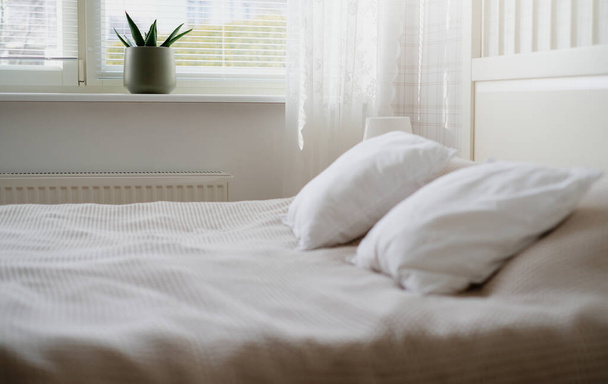 Sisätilojen huoneen valkoiset sävyt sänky, yöpöytä, pöytävalaisin ja kukka ikkunalaudalla - Valokuva, kuva