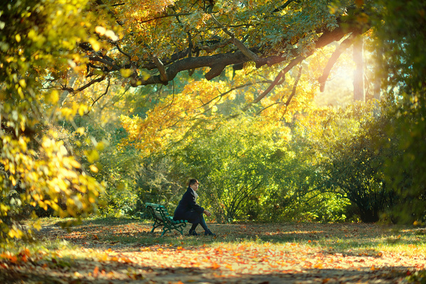 Woman in autumn park - Foto, Imagen