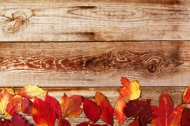 Herbst Hintergrund mit farbigen Blättern auf Holzbrettern - Foto, Bild