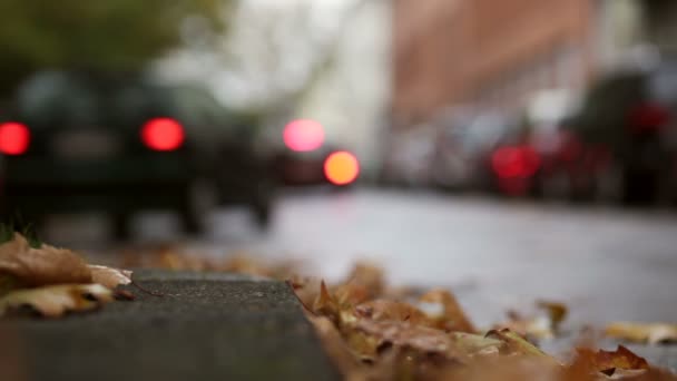 Листья на улице - осенняя городская сцена, движение и автомобили
 - Кадры, видео