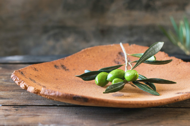 Green olive branch - Φωτογραφία, εικόνα