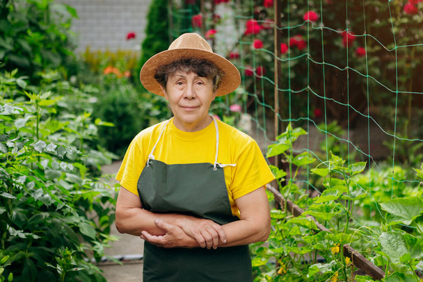 Portrait of a Senior woman gardener in a hat working in her yard. The concept of gardening, growing and caring for flowers and plants. - Photo, image