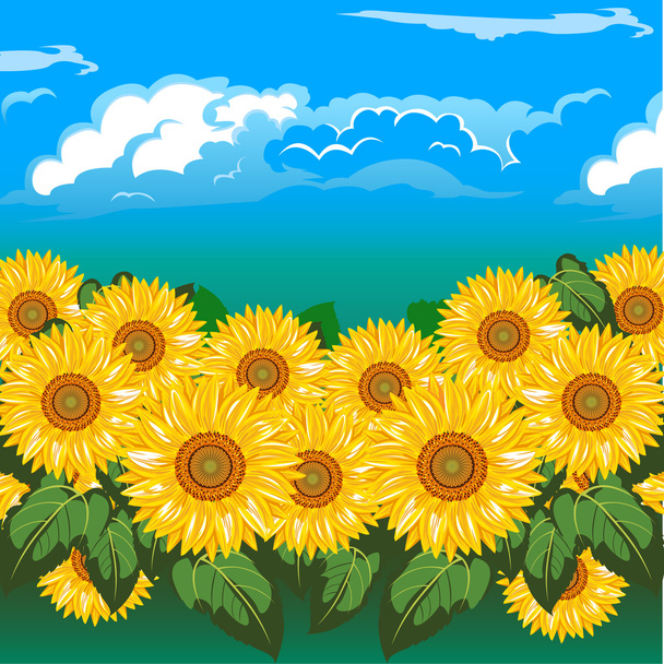 Sunflowers - Διάνυσμα, εικόνα