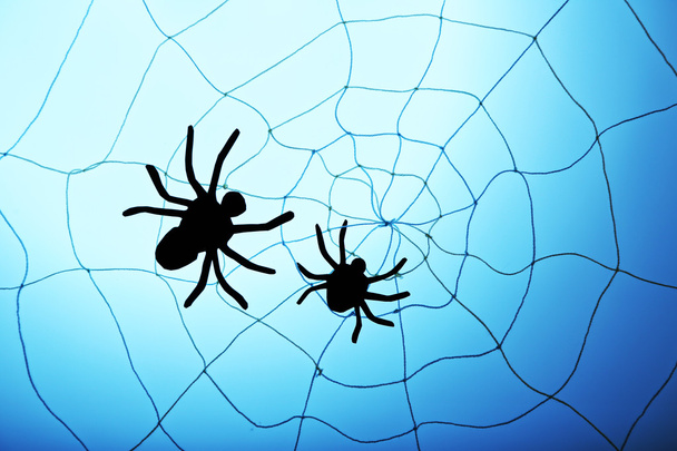 Spiders on Halloween web - Foto, imagen