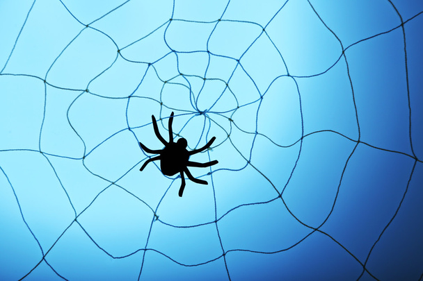 Spider on Halloween web - Photo, Image
