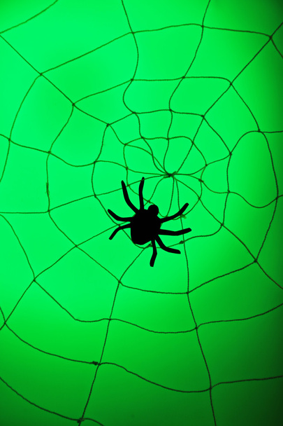 Spider on Halloween web - Foto, immagini