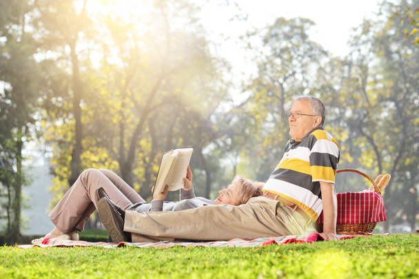 Mature couple relaxing on picnic - Photo, image