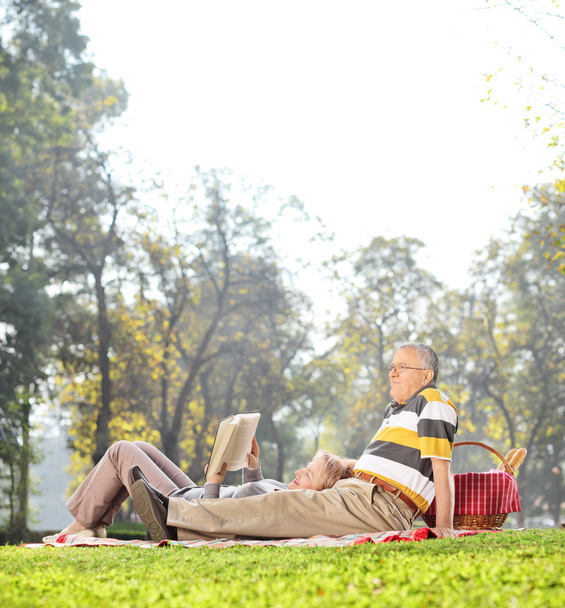 Mature couple having picnic in park - Zdjęcie, obraz