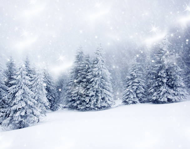 Christmas background with snowy fir trees  - Photo, Image