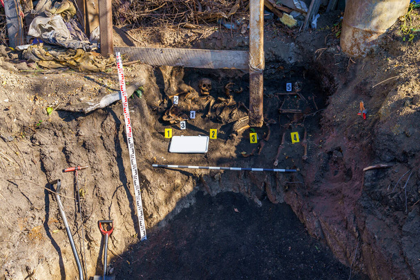 Menschliche Überreste im Boden. Archäologische Ausgrabungen von Schädeln und Knochen mit forensischen Merkmalen zur Untersuchung. Hintergrund mit Kopierraum für Text oder Beschriftung - Foto, Bild