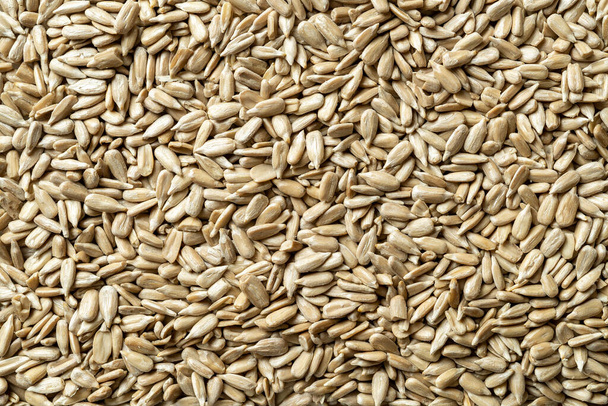 Shelled sunflower seeds macro background. Texture of Helianthus kernels without shell. Organic sunflower seeds for gluten free healthy eating. Raw material for the production of vegetable oil. Top view. - Photo, Image