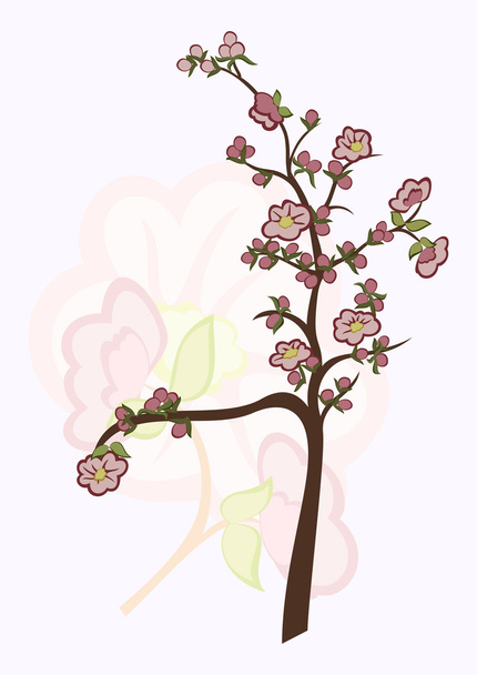 Sakura - Vektor, obrázek