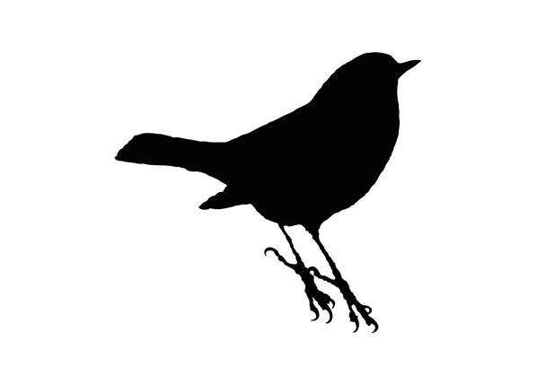 Uccello Il Redstart comune assomiglia a un Robin
. - Vettoriali, immagini