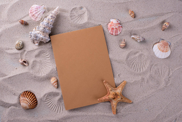 Letnie morskie tło morskie z muszlą - Zdjęcie, obraz