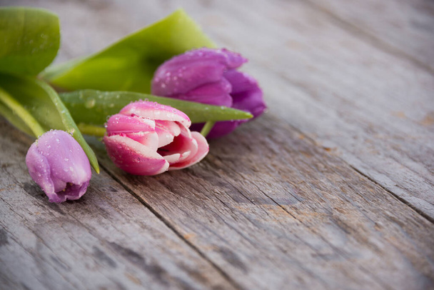 pink tulips on a wooden background - Photo, Image
