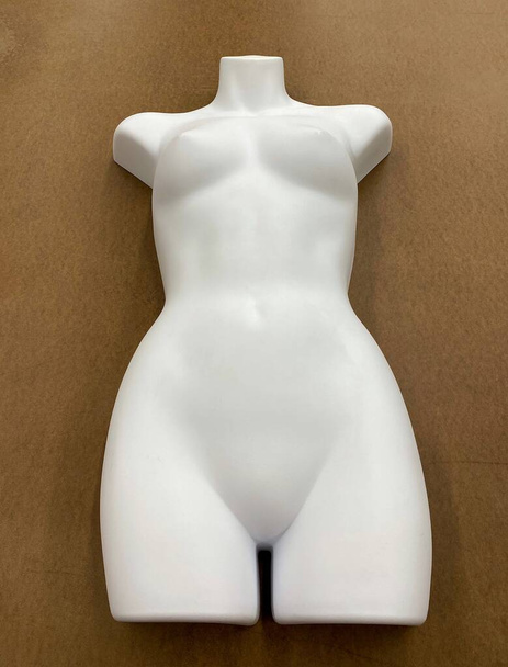 Mannequin for female underwear. Mannequin for fashion store. Figure of a female body for clothes. Torso. Without head and limbs. - Foto, immagini