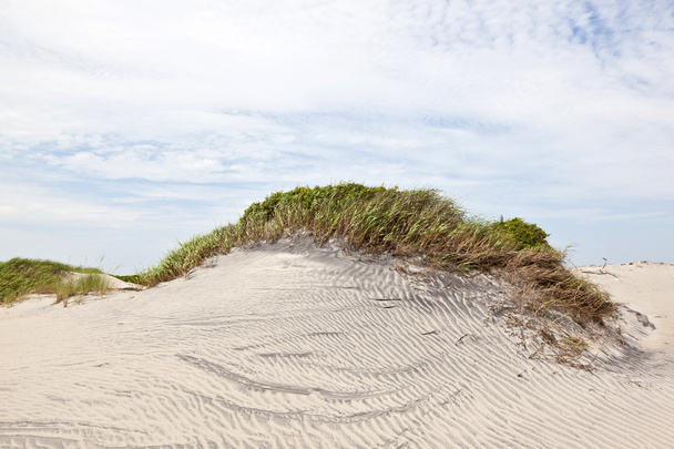 Dune kumlu Plajı'nda çim ile - Fotoğraf, Görsel