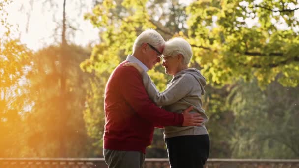 Ouderen Kaukasisch paar knuffelen in het park op zoek naar de camera pensioen welzijn senior mensen ondersteunen concept selectieve focus kopiëren ruimte medium shot  - Video