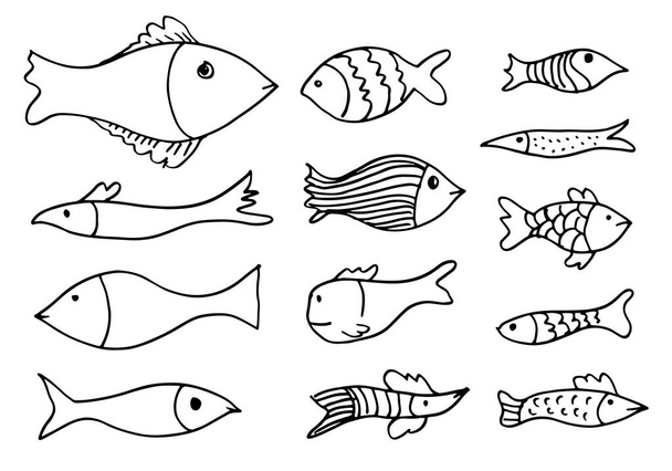 set of fish skeleton doodle isolated on white background. - Vector, Imagen
