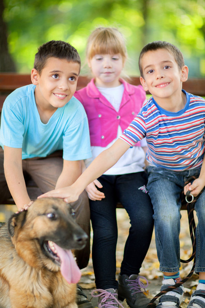 little girl and boys in the park with a German Shepherd - 写真・画像