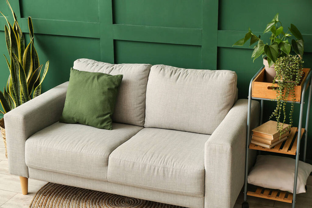 Комфортний диван і кімнатні рослини біля зеленої стіни
 - Фото, зображення