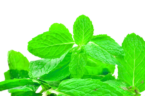 Heap of Mint leaves - Photo, Image