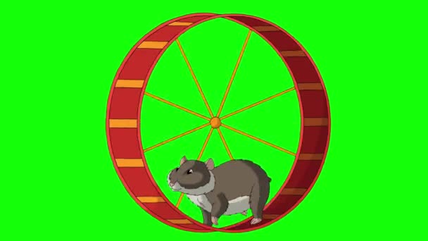 O hamster castanho corre numa roda. Imagens HD animadas feitas à mão isoladas na tela verde - Filmagem, Vídeo