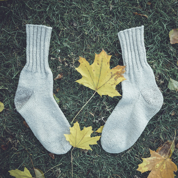 Woolen socks - Photo, Image