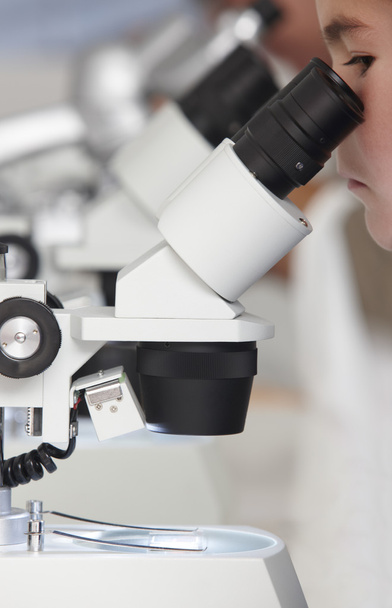 Студенты и микроскопы в научной лаборатории
 - Фото, изображение