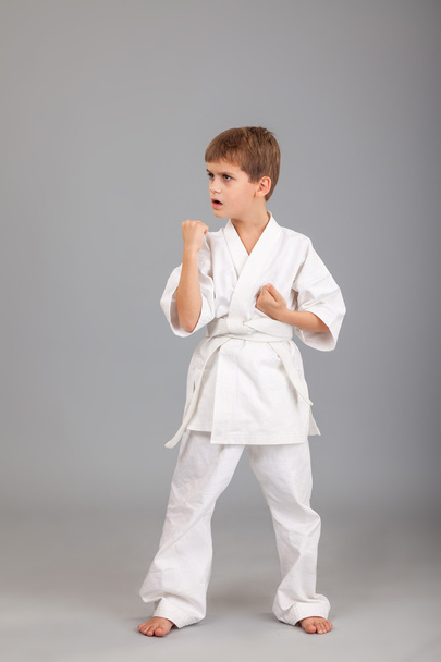 Karate boy - 写真・画像
