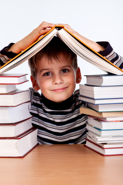 Schoolboy with books - Zdjęcie, obraz