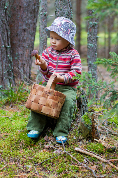 A boy with a mushroom and a basket in the woods - Фото, зображення
