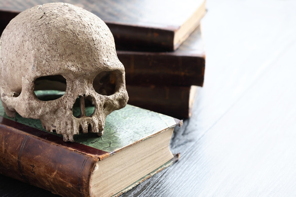 Skull On Books - Foto, imagen