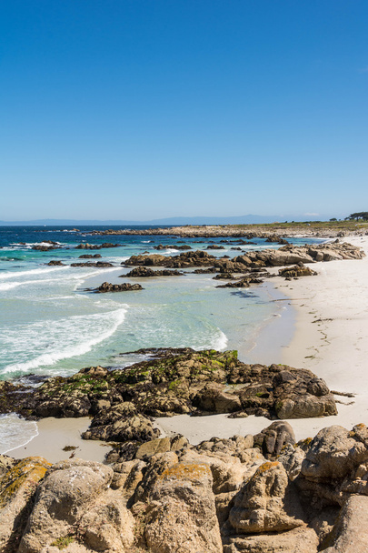A strand a partján a kaliforniai Monterey-i - Fotó, kép