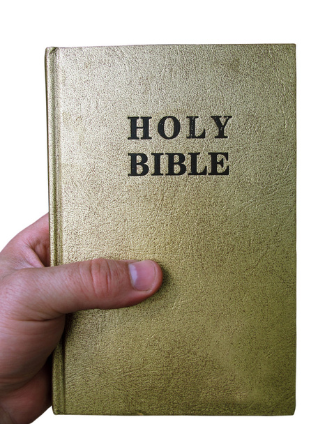 Bible in hand - Фото, изображение