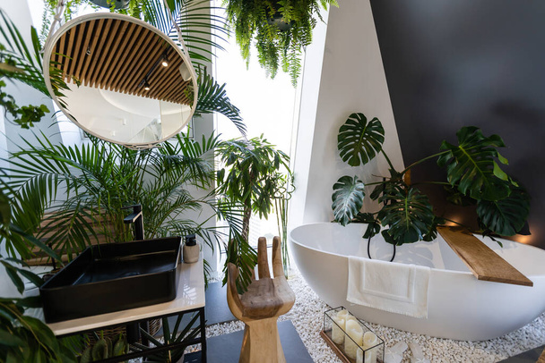 комнатные растения, пальмы в интерьере - Фото, изображение