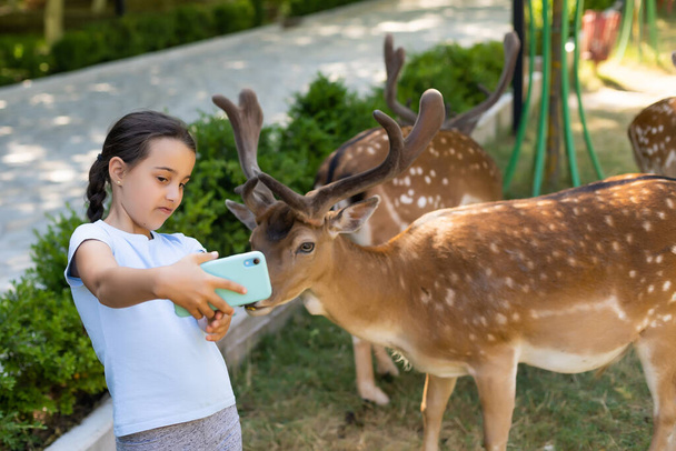 bambina prende un selfie con un cervo - Foto, immagini