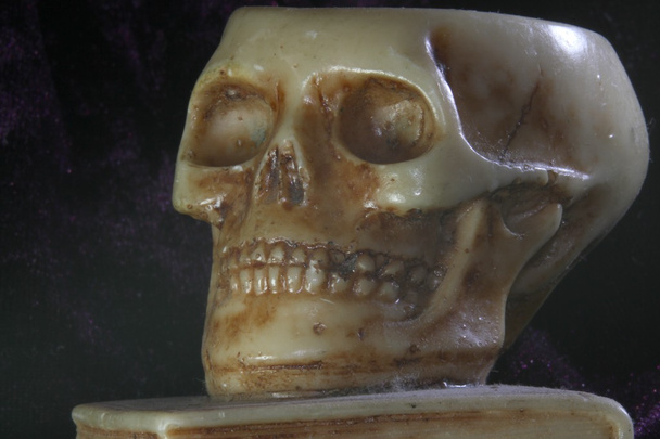 чудовищный человеческий череп с книгой под
 - Фото, изображение