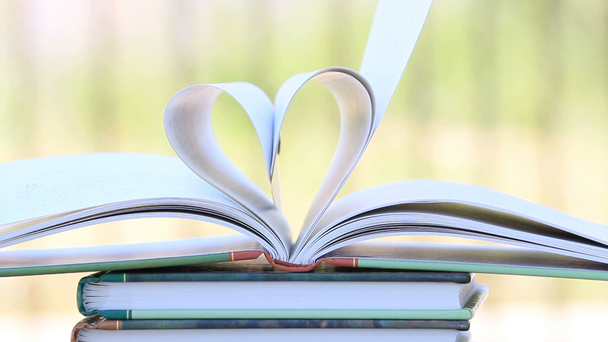 Βιβλίο στοίβα ανοικτή σελίδα σχήμα καρδιάς, άνεμος, πράσινο φόντο κήπων - Πλάνα, βίντεο